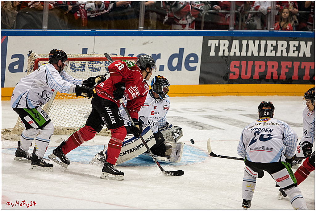 Koelner Haie - Straubing Tigers, 03.10.2016